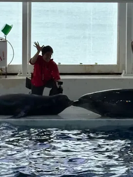アクアワールド茨城県大洗水族館に投稿された画像（2026/5/28）
