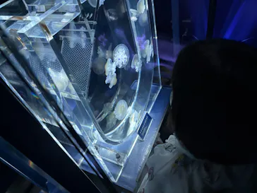 すみだ水族館に投稿された画像（2026/5/28）