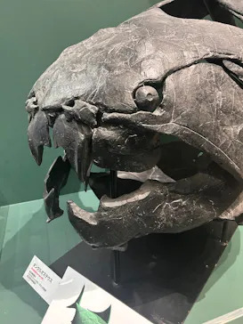 大絶滅展ー生命史のビッグファイブ（名古屋会場）に投稿された画像（2026/5/28）