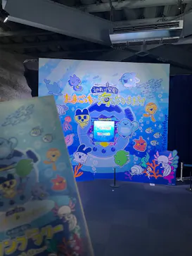 新江ノ島水族館に投稿された画像（2026/5/28）