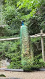名古屋市東山動植物園に投稿された画像（2026/5/28）