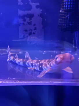 名古屋港水族館に投稿された画像（2026/5/28）