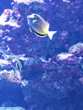 サンシャイン水族館に投稿された画像（2026/5/28）