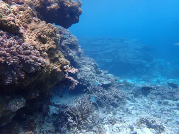 ONLYONE divingに投稿された画像（2026/5/28）
