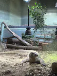 名古屋市東山動植物園に投稿された画像（2026/5/28）