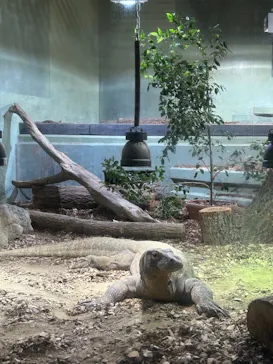 名古屋市東山動植物園に投稿された画像（2026/5/28）