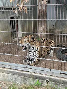 名古屋市東山動植物園に投稿された画像（2026/5/28）