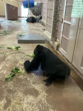 名古屋市東山動植物園に投稿された画像（2026/5/28）