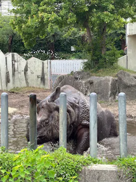 名古屋市東山動植物園に投稿された画像（2026/5/28）