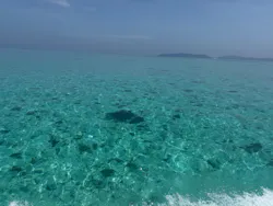 SeaChan石垣島に投稿された画像（2026/5/28）