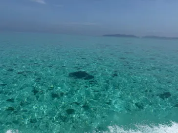 SeaChan石垣島に投稿された画像（2026/5/28）