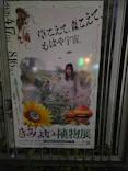 自然体感展望台 六甲枝垂れに投稿された画像（2026/5/28）