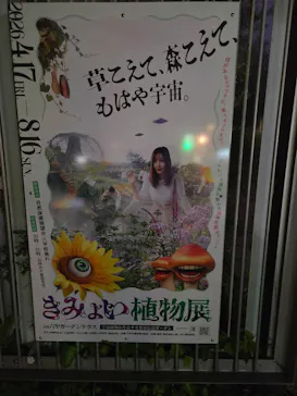 自然体感展望台 六甲枝垂れに投稿された画像（2026/5/28）