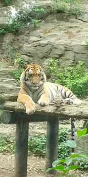 多摩動物公園に投稿された画像（2026/5/28）