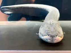 仙台うみの杜水族館に投稿された画像（2026/5/28）
