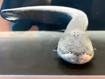 仙台うみの杜水族館に投稿された画像（2026/5/28）