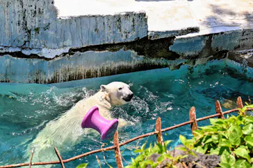 天王寺動物園に投稿された画像（2026/5/28）