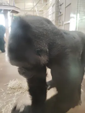 名古屋市東山動植物園に投稿された画像（2026/5/29）