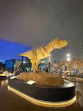 福井県立恐竜博物館に投稿された画像（2026/5/29）