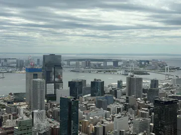 東京タワーに投稿された画像（2026/5/29）