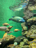 葛西臨海水族園に投稿された画像（2026/5/29）