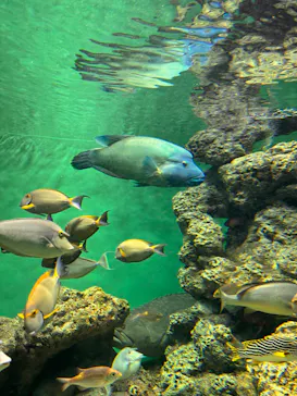 葛西臨海水族園に投稿された画像（2026/5/29）