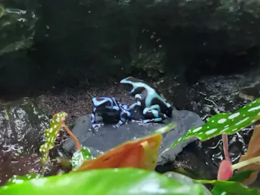 サンシャイン水族館に投稿された画像（2026/5/29）