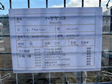 ノーザンホースパークに投稿された画像（2025/10/27）