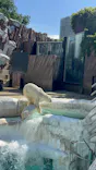 恩賜上野動物園に投稿された画像（2026/5/29）