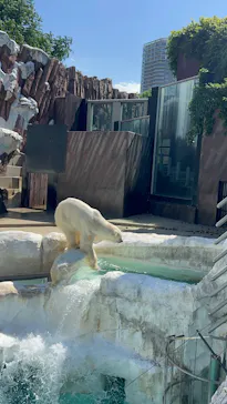 恩賜上野動物園に投稿された画像（2026/5/29）