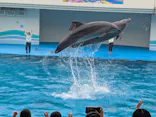 南知多ビーチランド＆南知多おもちゃ王国に投稿された画像（2026/5/29）