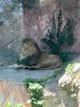 名古屋市東山動植物園に投稿された画像（2026/5/29）