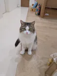 Cat Café MOFF イオンモール豊川店に投稿された画像（2026/5/29）
