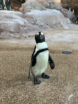 京都水族館に投稿された画像（2026/5/29）