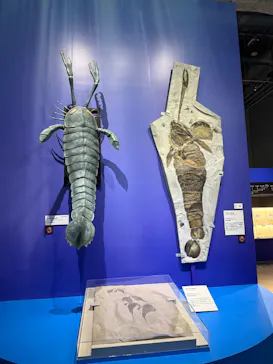 大絶滅展ー生命史のビッグファイブ（名古屋会場）に投稿された画像（2026/5/29）