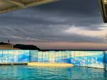 新江ノ島水族館に投稿された画像（2026/5/29）