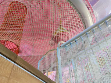 おやつタウンに投稿された画像（2026/5/29）