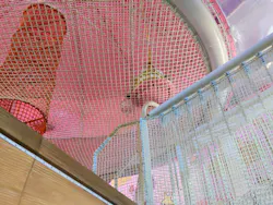 おやつタウンに投稿された画像（2026/5/29）