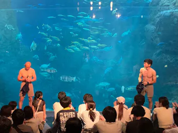 新江ノ島水族館に投稿された画像（2026/5/29）