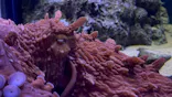 新江ノ島水族館に投稿された画像（2026/5/29）