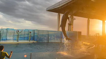 新江ノ島水族館に投稿された画像（2026/5/29）