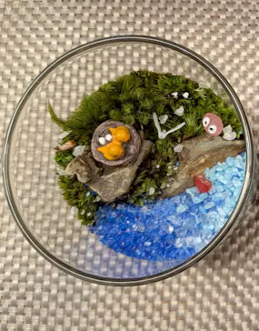 カルチャースクールいろはに投稿された画像（2026/5/29）
