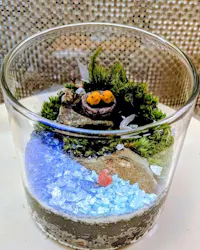 カルチャースクールいろはに投稿された画像（2026/5/29）
