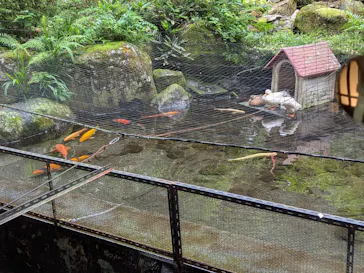 箱根湯本温泉 天成園に投稿された画像（2026/5/29）