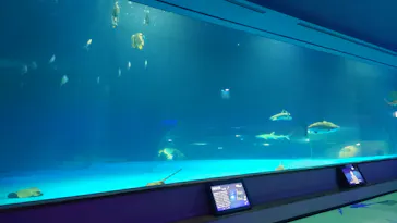 島根県立 しまね海洋館に投稿された画像（2026/5/29）