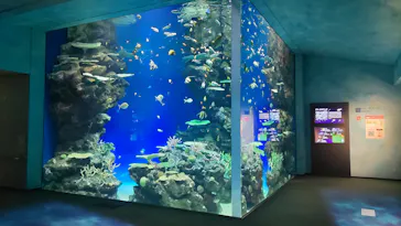 島根県立 しまね海洋館に投稿された画像（2026/5/29）