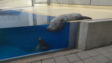 島根県立 しまね海洋館に投稿された画像（2026/5/29）