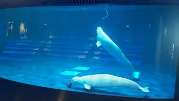 島根県立 しまね海洋館に投稿された画像（2026/5/29）