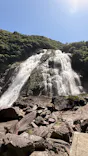 屋久島トレッキングガイドこだまに投稿された画像（2026/5/30）