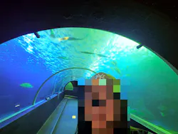 串本海中公園水族館に投稿された画像（2026/5/30）